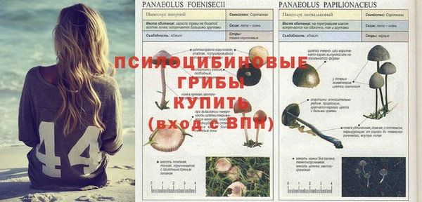 каннабис Краснотурьинск
