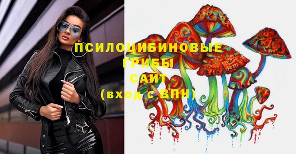 гидра Абинск