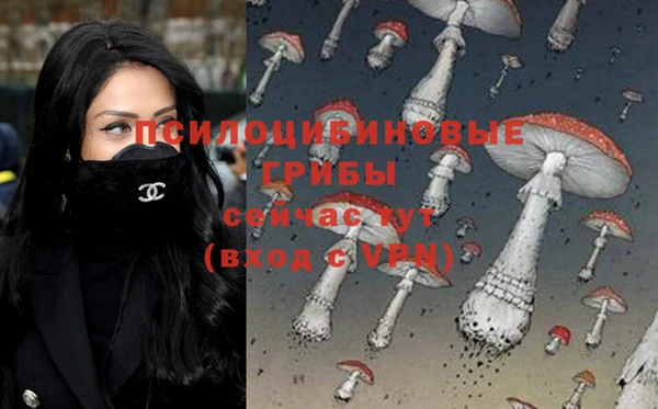 прущие грибы Алексин