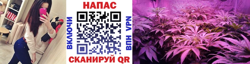 Конопля LSD WEED MEGA ONION Ангарск